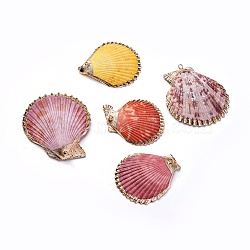 Shell Pendants, with Iron Findinggs, Shell, Light Gold, 45~59x41~52x6~8mm, Hole: 1.6~1.8mm(SHEL-P075-05)