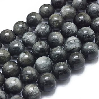 Natura Hawk's Eye Beads Strands, Eagle Eye Stone, Grade A, Round, 12mm, Hole: 1mm, about 33pcs/Strand, 15.75 inch(40 cm)