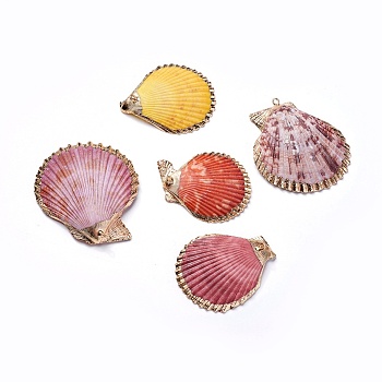 Shell Pendants, with Iron Findinggs, Shell, Light Gold, 45~59x41~52x6~8mm, Hole: 1.6~1.8mm
