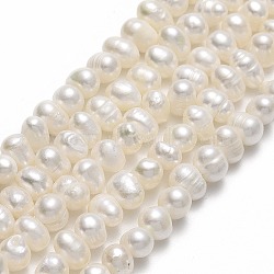 Natural Cultured Freshwater Pearl Beads Strands, Potato, Beige, 5~5.5x6~7x5~6mm, Hole: 0.7mm, about 65pcs/strand, 13.70 inch(34.8cm)(PEAR-F018-17D-01)