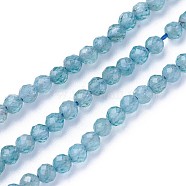 Natural Apatite Beads Strands, Faceted, Round, Cadet Blue, 3~3.5mm, Hole: 0.5mm, about 115~130pcs/strand, 14.5~16.1 inch(37~41cm)(X-G-F619-13A-3mm)