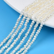 Natural Cultured Freshwater Pearl Beads Strands, Potato, Seashell Color, 2~2.5x2~3.5x2.5~3mm, Hole: 0.5mm, about 167~178pcs/strand, 13.94 inch~14.25 inch(35.4cm~36.2cm)(PEAR-N013-02C)