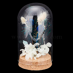 Elite Glass Dome Cover, Decorative Display Case, Cloche Bell Jar Terrarium with Cork Base, Arch, Clear, 80x143mm, 1 set/box(AJEW-PH0004-19C)