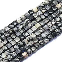 Natural Black Silk Stone/Netstone Beads Strands, Cube, Faceted, 6~6.5x6~6.5x6~6.5mm, Hole: 1mm, about 58pcs/Strand, 15.55 inch(39.5cm)(G-K310-B03)