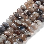 Natural Agate Beads Strands, Dyed & Heated, Egg, Camel, 12~14x9~10mm, Hole: 1.4mm, about 19~20pcs/strand, 7.48 inch(19cm)(G-G021-03B-05)