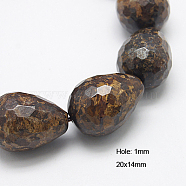 Natural Bronzite Beads Strands, Faceted, teardrop, 20x14mm, Hole: 1mm, about 20pcs/strand, 15.5 inches(G-G222-14x20mm-09)