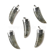 Natural Labradorite Pendants, with Silver Tone Brass Findings, Dagger Shape, 41~42x15~16x6.5~7.5mm, Hole: 5x7.5mm(G-P474-04S-03)