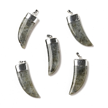 Natural Labradorite Pendants, with Silver Tone Brass Findings, Dagger Shape, 41~42x15~16x6.5~7.5mm, Hole: 5x7.5mm