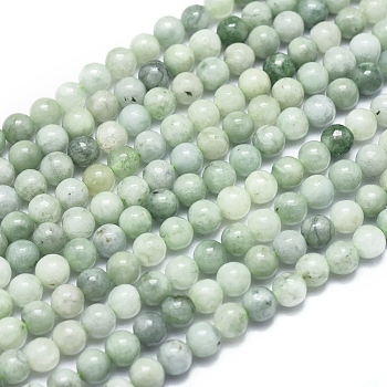 Natural Myanmar Jade/Burmese Jade Beads Strands, Round, 4mm, Hole: 0.5mm, about 92pcs/Strand, 15.75 inch(40cm)