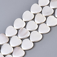 Electroplate Natural Shell Beads Strands, Heart, Seashell Color, 14x14.5x3mm, Hole: 1mm, about 27pcs/strand, 14.57 inch(37cm)(BSHE-Q034-003D)