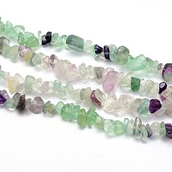 Natural Fluorite Beads Strands, Chips, 5~8x5~8mm, Hole: 1mm, about 31.5 inches(G-O049-B-16)