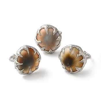 Dyed Natural Shell Eye Open Cuff Ring, Silver Plated Tin Finger Ring, Cadmium Free & Lead Free, Coconut Brown, Inner Diameter: 17mm