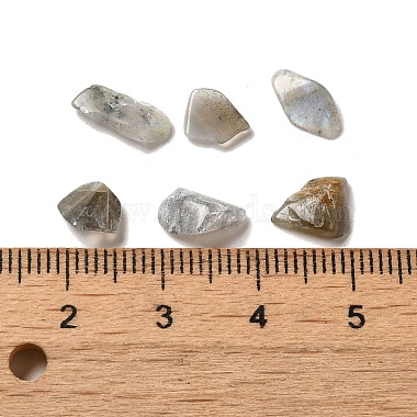 Natural Labradorite Beads(G-O103-33)-3