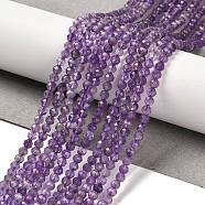 Natural Amethyst Beads Strands, Faceted, Round, 3mm, Hole: 0.7mm, about 124pcs/strand, 15.55''(39.5cm)(G-K373-B03-03)