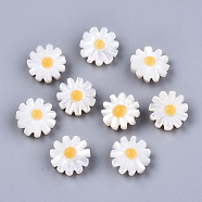 Natural White Shell Mother of Pearl Shell Beads, Flower, Seashell Color, 10x5mm, Hole: 0.8mm(SHEL-S266-13A)