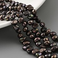 Dyed Natural Cultured Freshwater Pearl Beads Strands, Top Drilled, Two Sides Polished, Black, 6~7mm, Hole: 0.5mm, about 29pcs/strand, 6.69 inch(17cm)(PEAR-A006-19B)