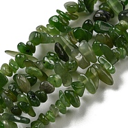 Natural Jade Beads Strands, Chip, 1.5~5x3~13x2~8mm, Hole: 0.6mm, 30.94~31.97''(78.6~81.2cm)(G-G0003-B38)
