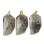 Natural Labradorite Pendants, Others, Golden, 40~40.5x20.5~21x9.5~10mm, Hole: 6x6.5mm(GG-CBA51ED-04G-01)