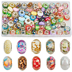 120Pcs 6 Styles Christmas Theme Resin European Rondelle Beads, Large Hole Beads, Mixed Color, 13~14x8~9.5mm, Hole: 4.8~5mm(RPDL-SP0001-04)