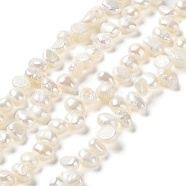 Natural Keshi Pearl Beads Strands, Cultured Freshwater Pearl, Baroque Pearls, Grade 4A, Two Sides Polished, Floral White, 6~8x5~6x3~5mm, Hole: 0.7mm, about 70~74pcs/strand, 13.98''~14.17''(35.5~36cm)(PEAR-J007-48)