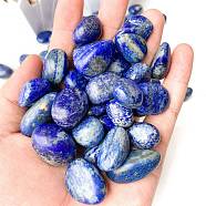 Natural Lapis Lazuli Healing Stones, Oval Stones, Pocket Palm Stones for Reiki Balancing, 15~20mm, 50g/set(PW-WGD7FF2-07)