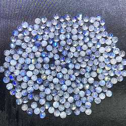 Natural Rainbow Moonstone Cabochons, Half Round, 4mm(X-G-PW0002-06B)