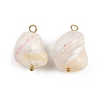 Natural Shell Nuggets Pendants, with 304 Stainless Steel Loops, Seashell Color, Ion Plating(IP), Real 18K Gold Plated, 22~29.5x13~19.5x10~19.5mm, Hole: 2~3.5mm(X1-STAS-D378-30G)
