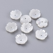 Natural Trochid Shell/Trochus Shell Beads, Flower, 10x3mm, Hole: 1mm(BSHE-K054-19-10MM)
