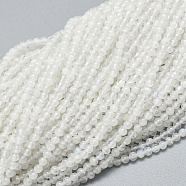 Natural Rainbow Moonstone Beads Strands, Round, 2mm, Hole: 0.5mm, about 195pcs/strand, 15.35 inch(39cm)(G-A177-04-23)
