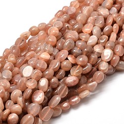 Natural Sunstone Nuggets Beads Strands, Tumbled Stone, 5~10x6~7x3~7mm, hole: 1mm, about 14.9 inch~15.7 inch(X-G-J335-16)