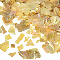 Natural Abalone/Paua Shell Mica Fragment, Nail Art Decorations, Shell Mica Slices, Dyed, Gold, 1~20x1~15x0.5mm(MRMJ-N026-001-A01)