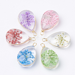 Glass Pendants, with Dried Flower Inside & Brass Findings, teardrop, Golden, Mixed Color, 22~24x13x8mm, Hole: 2mm(X-GLAA-Q070-005)