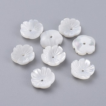 Natural Trochid Shell/Trochus Shell Beads, Flower, 10x3mm, Hole: 1mm