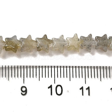 Natural Labradorite Beads Strands(G-G085-B25-02)-4