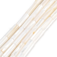 Freshwater Shell Beads Strands, Column, White, 13x4mm, Hole: 0.5~1mm, about 30pcs/strand, 15 inch(38.1cm)(X-BSHE-L037-13)