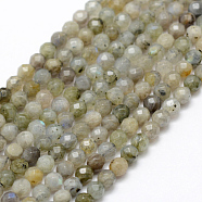 Natural Labradorite Beads Strands, Round, Faceted, 4mm, Hole: 1mm, about 107pcs/strand, 15.1 inch(38.5cm)(G-P322-28-4mm)