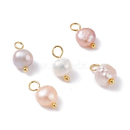 Natural Cultured Freshwater Pearl Charms, with Golden Brass Ball Head pins, Oval, Seashell Color, 10~12x5.5~7x4.5~6mm, Hole: 2.4~2.7mm(X-PALLOY-JF01098-02)