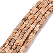 Natural Picture Jasper Beads Strands, Square, 6x6x6mm, Hole: 1mm, about 59pcs/strand, 15.16 inch(38.5cm)(G-C240-01)