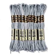 10 Skeins 6-Ply Polyester Embroidery Floss, Cross Stitch Threads, Segment Dyed, Gray, 0.5mm, about 8.75 Yards(8m)/skein(OCOR-K006-A62)