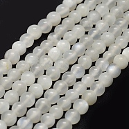 Natural White Moonstone Beads Strands, Round, 10mm, Hole: 1mm, about 38pcs/strand, 15.7 inch(40cm)(G-P335-04-10mm)