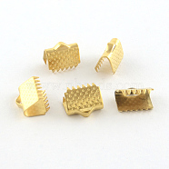 304 Stainless Steel Ribbon Crimp Ends, Golden, 10x20mm, Hole: 3mm(STAS-S047-061G)