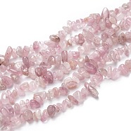 Natural Madagascar Rose Quartz Beads Strands, Chips, 6~11x5~9x2~6mm, Hole: 0.5mm, about 223pcs/Strand, 33.23 inch(84.4cm)(X-G-O187-01)