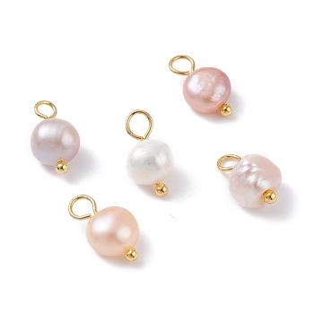 Natural Cultured Freshwater Pearl Charms, with Golden Brass Ball Head pins, Oval, Seashell Color, 10~12x5.5~7x4.5~6mm, Hole: 2.4~2.7mm