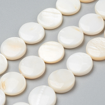 Natural Freshwater Shell Beads, Flat Round, 12.5~13x3~4mm, Hole: 0.5mm, about 31pcs/strand, 15.55 inch(39.5cm)