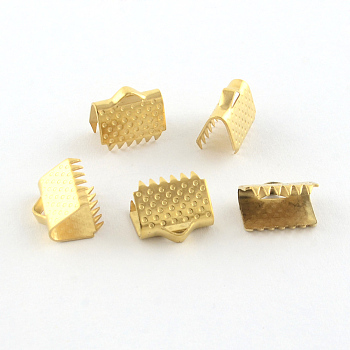 304 Stainless Steel Ribbon Crimp Ends, Golden, 10x20mm, Hole: 3mm
