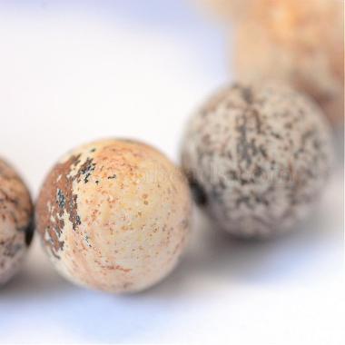 Frosted Natural Picture Jasper Round Bead Strands(G-E334-6mm-26)-4