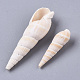 Natural Spiral Shell Beads(SSHEL-S258-79)-3
