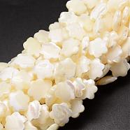 Natural Trochid Shell/Trochus Shell Beads Strands, Flower, Creamy White, 12x3~4mm, Hole: 1mm, about 34pcs/strand, 15.35 inch(SSHEL-K010-03)