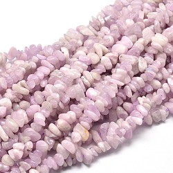Natural Kunzite Chip Beads Strands, Spodumene Beads, 5~14x4~10mm, Hole: 1mm, about 15.5 inch~16.1 inch(G-E271-79)