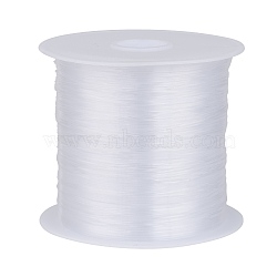Nylon Wire, Clear, 0.5mm, about 21.87 yards(20m)/roll(NWIR-R0.5MM)